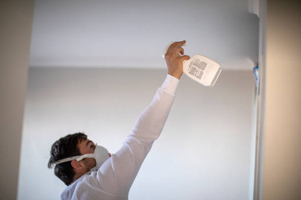 Best DIY Mold Remediation Support Services in Atwater, MN