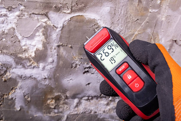 Best Health and Safety Mold Remediation in Atwater, MN